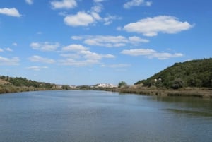 Portimão: Silves i Arade River History Tour na łodzi słonecznej