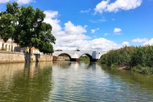 Portimão: Silves i Arade River History Tour na łodzi słonecznej