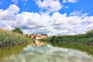 Portimão: Silves & Arade-joen historiakierros aurinkoveneellä.