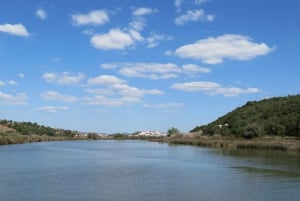 Portimão: Silves & Arade-joen historiakierros aurinkoveneellä.