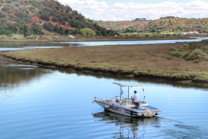 Portimão: Silves & Arade-joen historiakierros aurinkoveneellä.