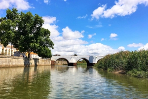 Portimão: Silves & Arade-joen historiakierros aurinkoveneellä.