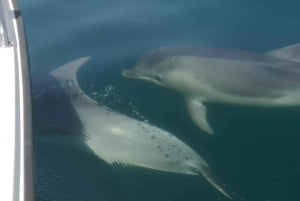 Портиман: частный тур на рассвете