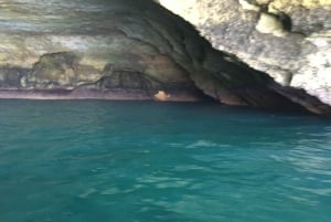 Portimao: Excursión a la Cueva de Benagil.