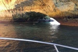Portimao: Excursión a la Cueva de Benagil.
