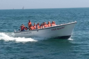 Portugal: Passeio 2 horas de Barco a Gruta de Benagil