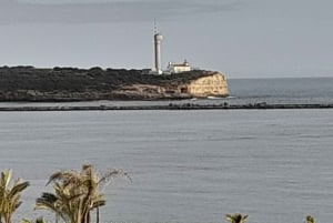Private Küstentour ab Lagos Besuch von Portimao, Carvoeiro
