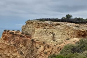 Private Küstentour ab Lagos Besuch von Portimao, Carvoeiro