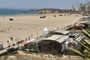 Private Küstentour ab Lagos Besuch von Portimao, Carvoeiro