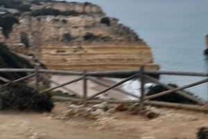 Private Küstentour ab Lagos Besuch von Portimao, Carvoeiro