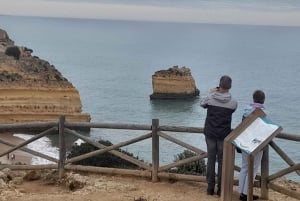 Private Küstentour ab Lagos Besuch von Portimao, Carvoeiro