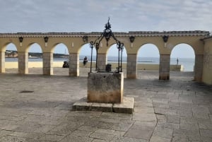 Private Küstentour ab Lagos Besuch von Portimao, Carvoeiro