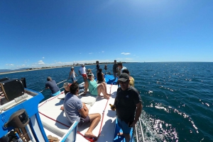 Private Boat & Kayak Tour with Snorkeling Adventure (Alvor)