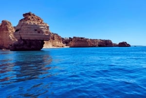 Passeio de barco particular a Benagil e Praia da Marinha - paragem para nadar