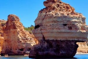 Passeio de barco particular a Benagil e Praia da Marinha - paragem para nadar