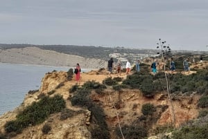 Private Coast Tour from Lagos Visit Portimao, Carvoeiro
