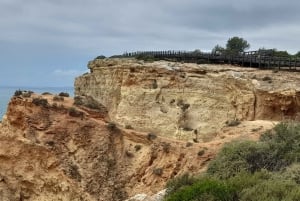 Private Coast Tour from Lagos Visit Portimao, Carvoeiro
