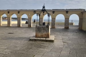 Private Coast Tour from Lagos Visit Portimao, Carvoeiro