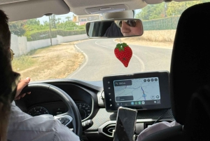 Privat guide til Algarve, Benagil-grotten fra Lisboa