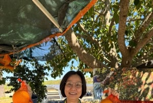 Privat guide til Algarve, Benagil-grotten fra Lisboa