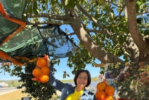 Privat guide til Algarve, Benagil-grotten fra Lisboa