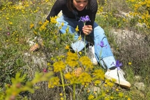 Privat guide til Algarve, Benagil-grotten fra Lisboa