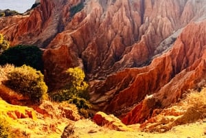 Privat guide til Algarve, Benagil-grotten fra Lisboa