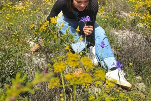 Private guided tour to Algarve,Benagil cave from Lisbon