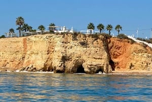 Privat seiltur med charter Lagos - Algarve