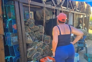 Tour privado en jeep por Tavira: salinas, naturaleza y Santa Luzia