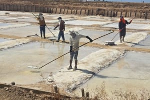 Tour privado en jeep por Tavira: salinas, naturaleza y Santa Luzia