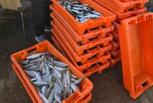 Tour privado en jeep por Tavira: salinas, naturaleza y Santa Luzia