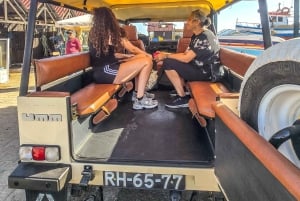 Tour privado en jeep por Tavira: salinas, naturaleza y Santa Luzia