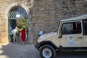 Tour privato in jeep a Tavira - Saline, natura e Santa Luzia