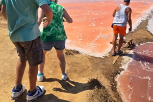 Tour privato in jeep a Tavira - Saline, natura e Santa Luzia