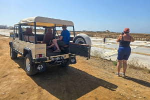 Tour privato in jeep a Tavira - Saline, natura e Santa Luzia