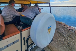 Tour privato in jeep a Tavira - Saline, natura e Santa Luzia