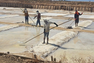 Tour privato in jeep a Tavira - Saline, natura e Santa Luzia