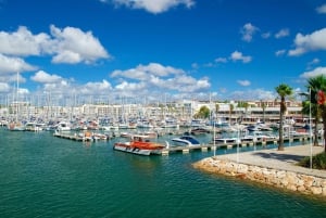 Private Tour Algarve Premium