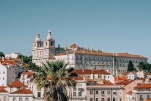 Tour privado - Viaje personalizable de un día completo por Lisboa