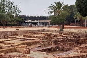 Privat tur till Silves slott och Monchique