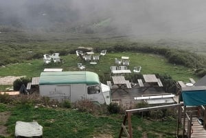 Privat tur till Silves slott och Monchique