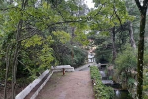 Privat tur till Silves slott och Monchique