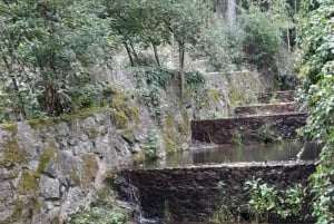 Privat tur till Silves slott och Monchique