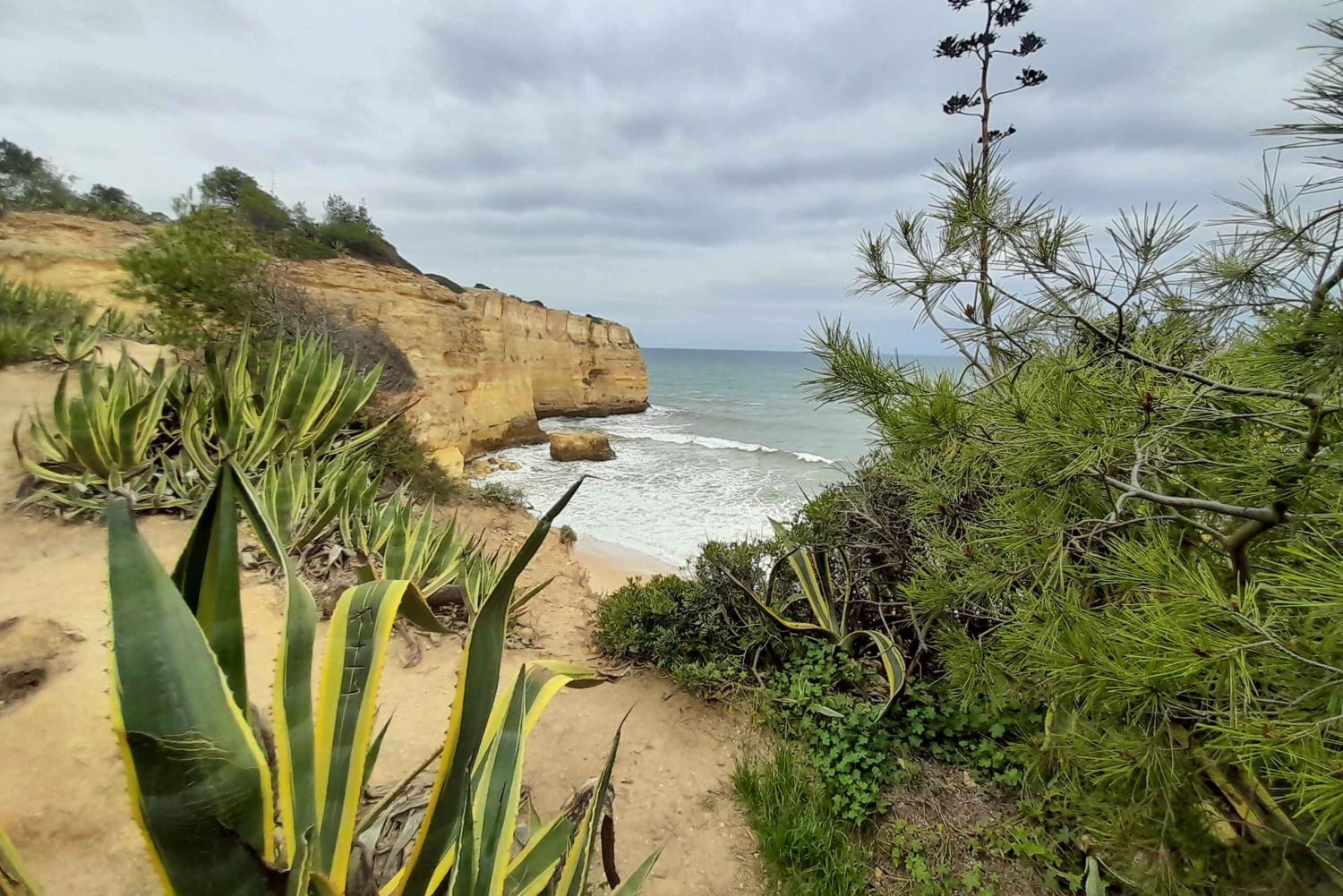 Private Tour to Silves Castle, Marinha Beach, Carvoeiro