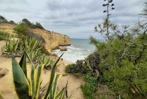 Private Tour to Silves Castle, Marinha Beach, Carvoeiro