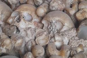 Private Tour to Silves Castle Whith Algarvian Wine Tasting