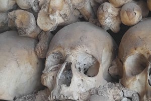 Private Tour to Silves Castle Whith Algarvian Wine Tasting