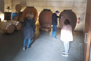 Private Tour to Silves Castle Whith Algarvian Wine Tasting