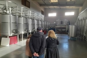 Private Tour to Silves Castle Whith Algarvian Wine Tasting